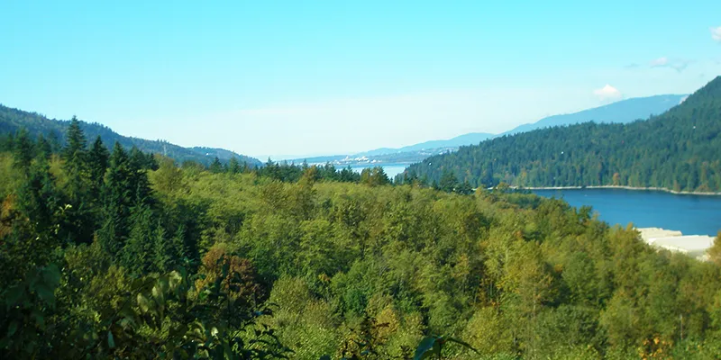 Alfred Howe Greenway Trail