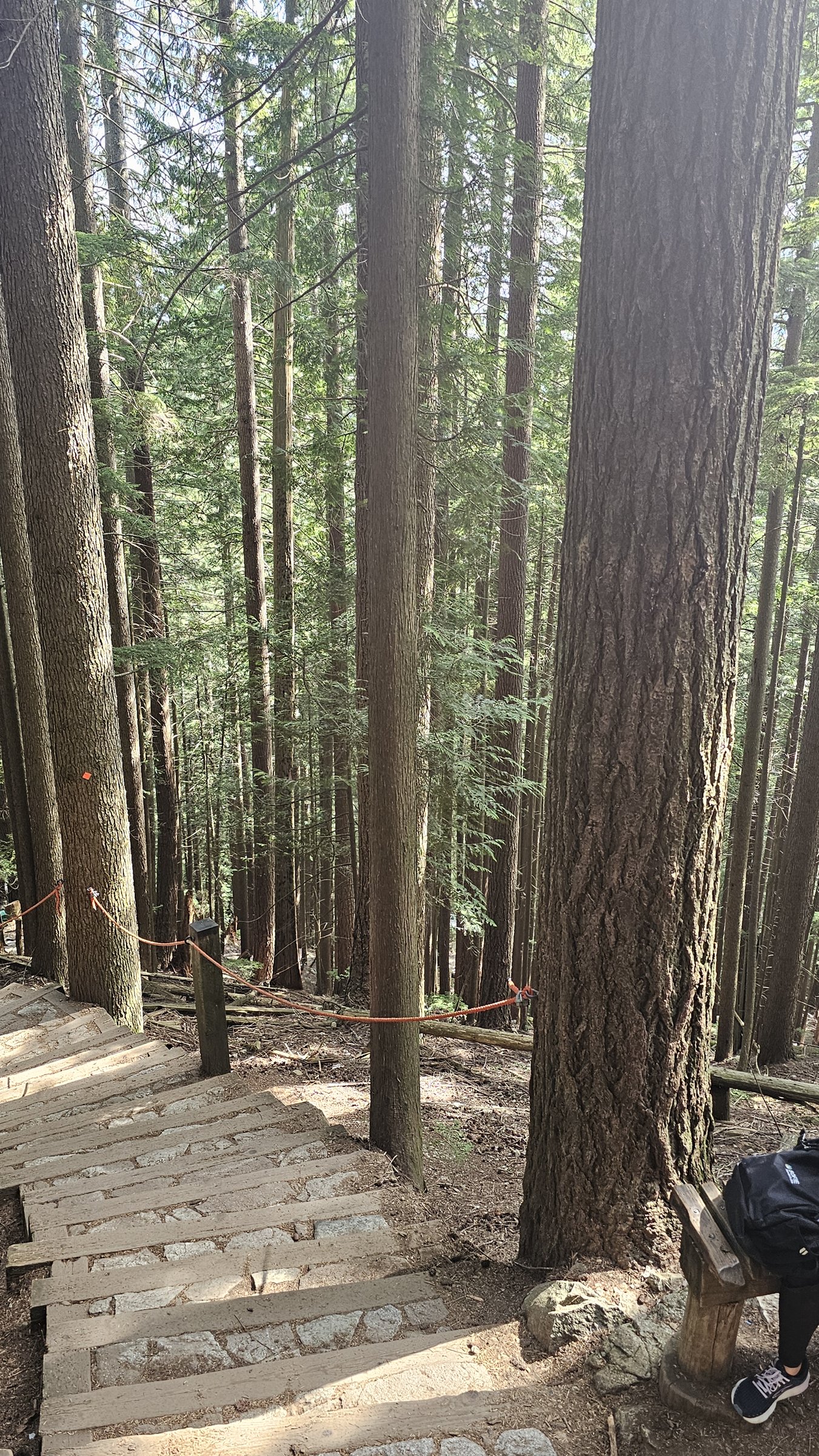 Grouse Grind