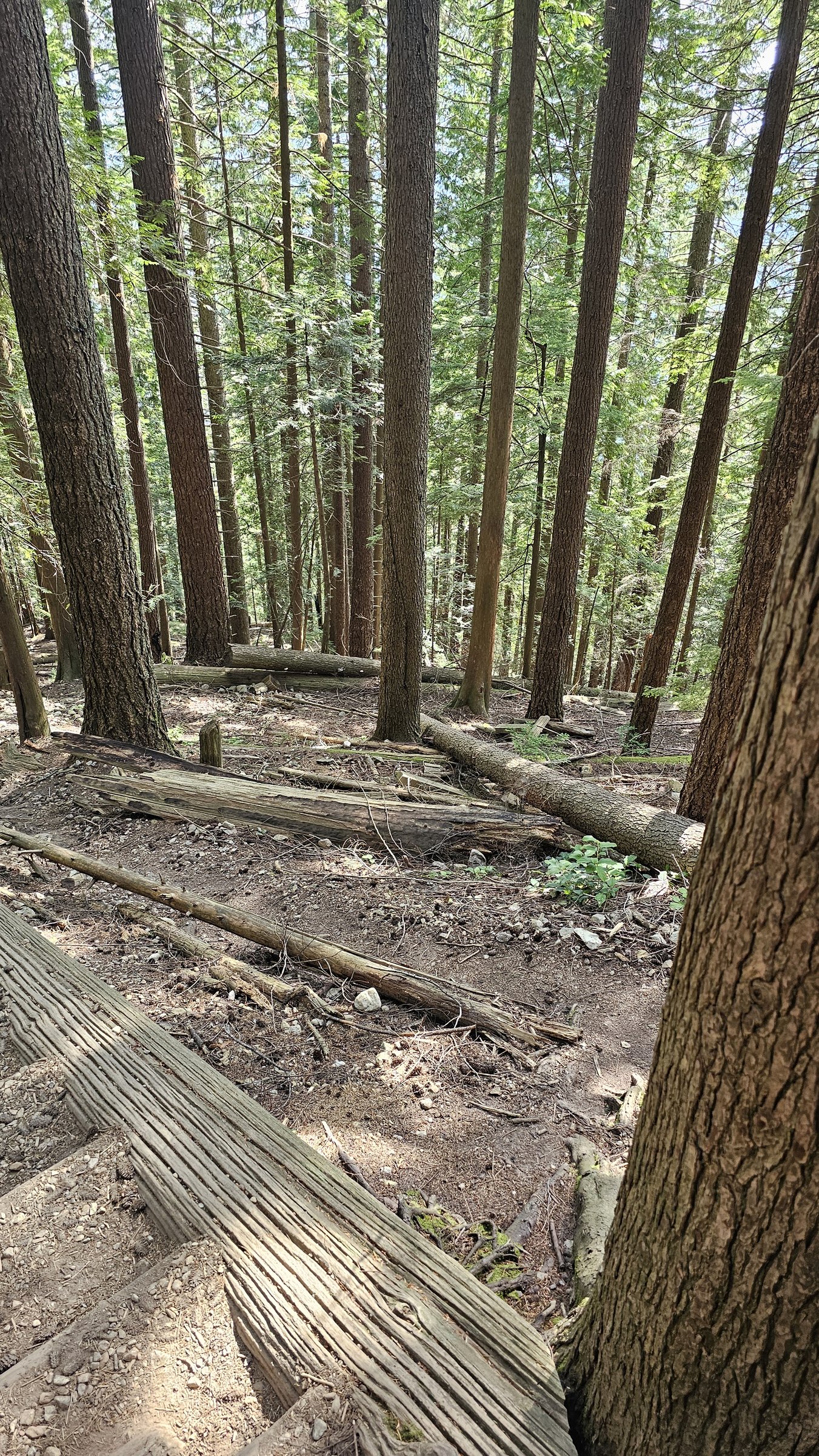 Grouse Grind