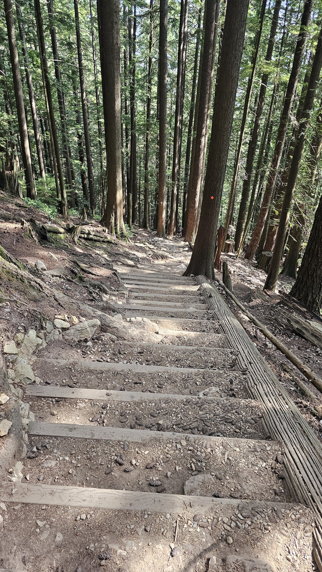 Grouse Grind