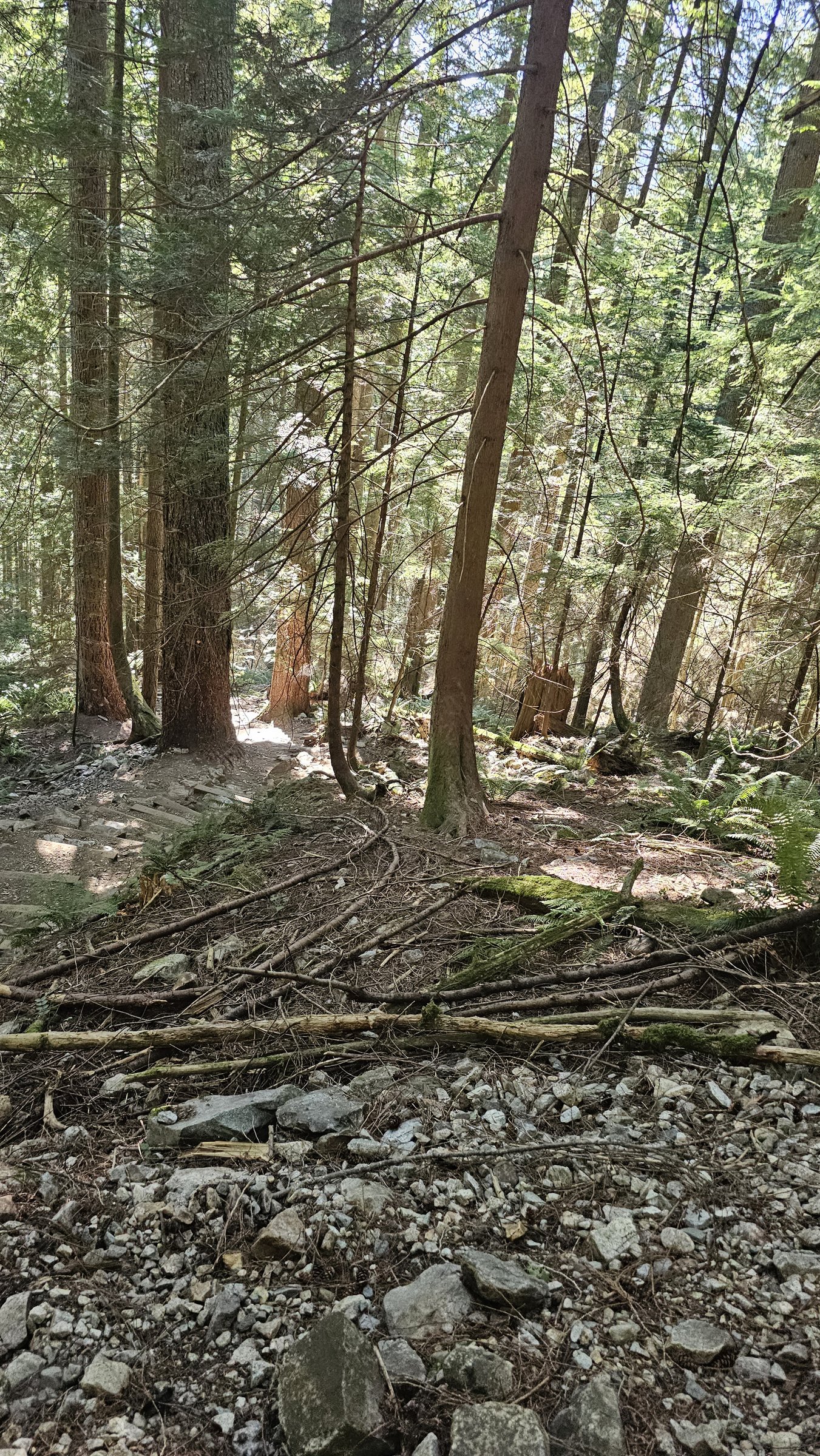 Grouse Grind