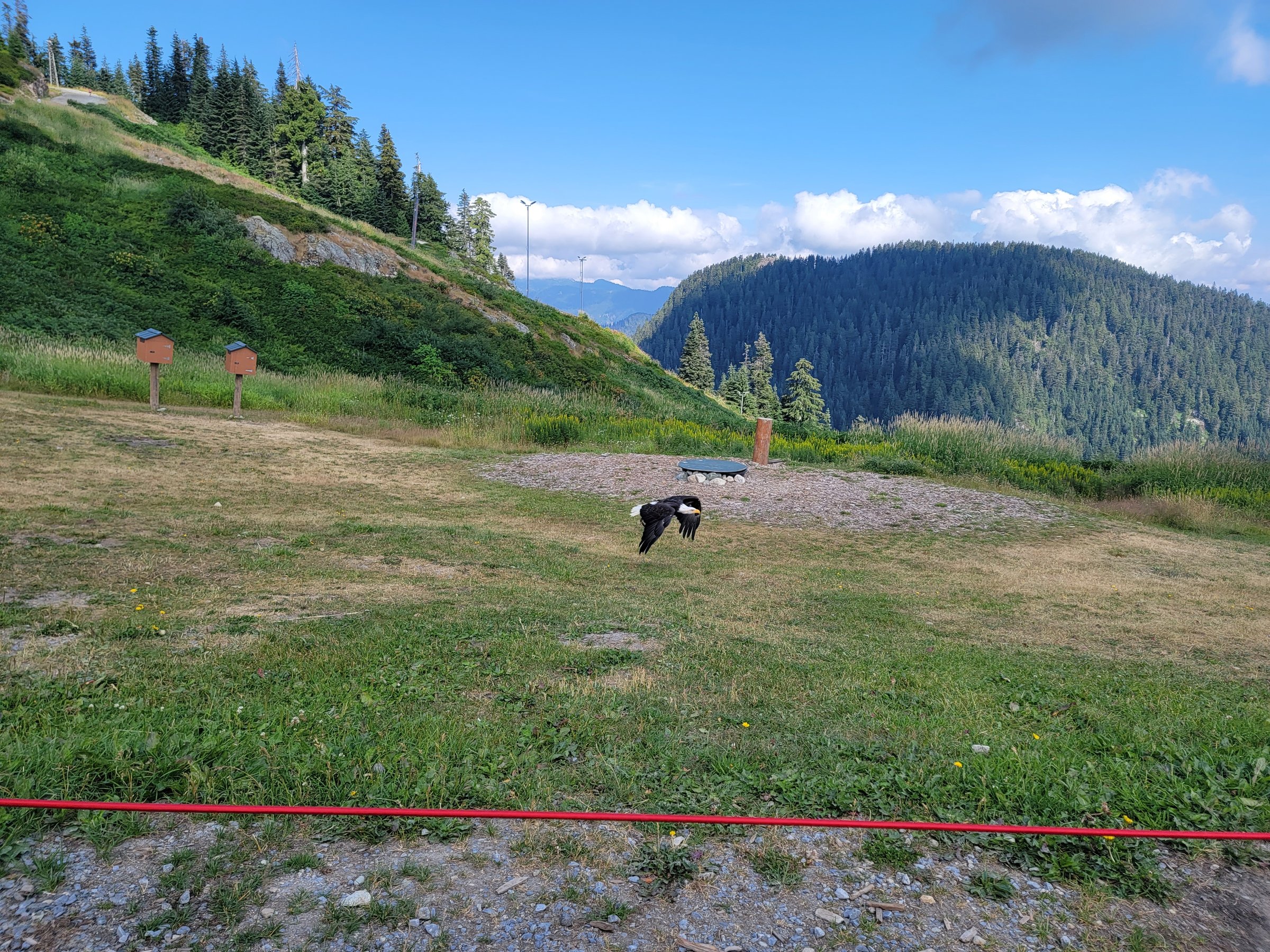 Grouse Mountain