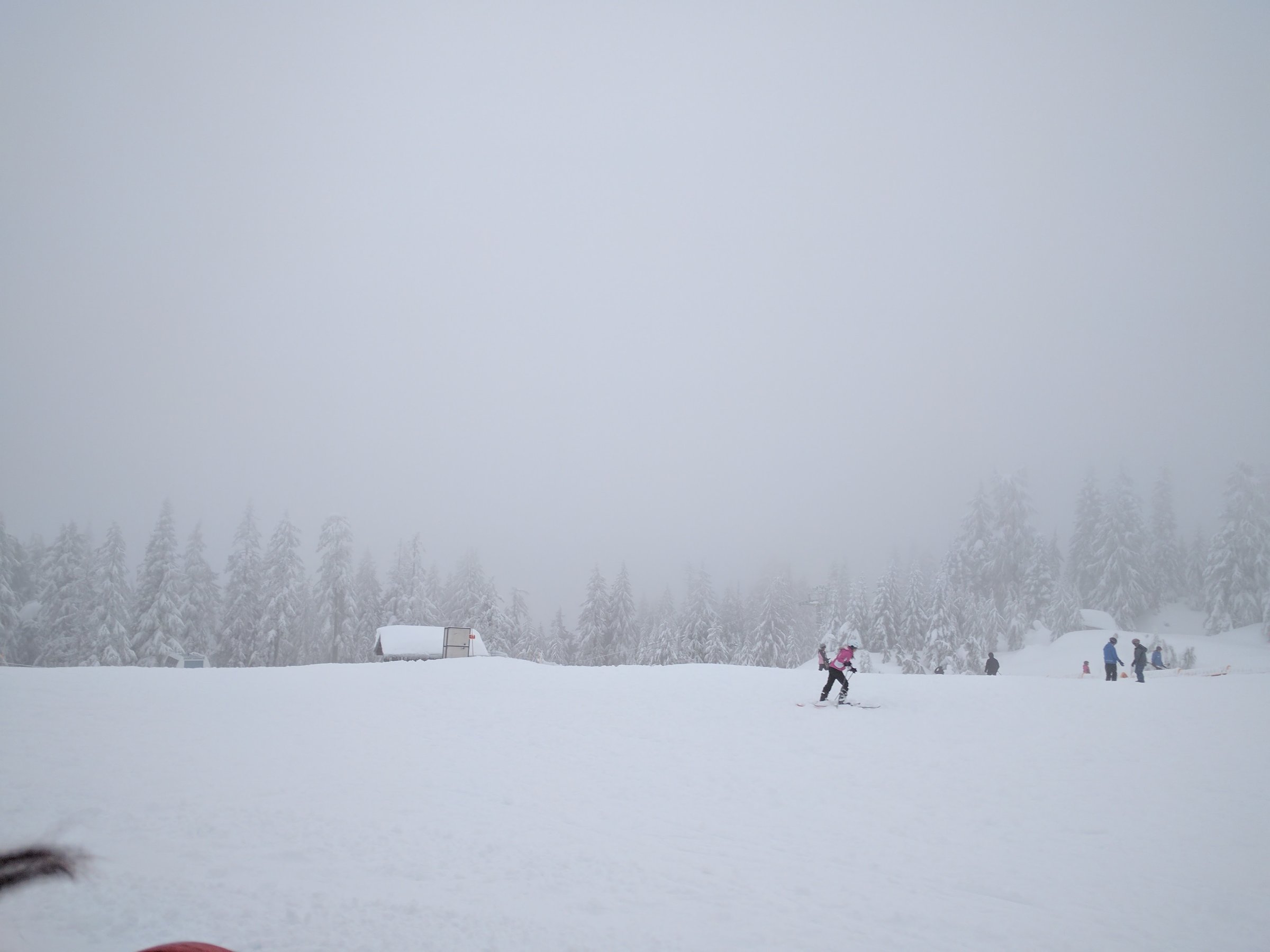 Grouse Mountain