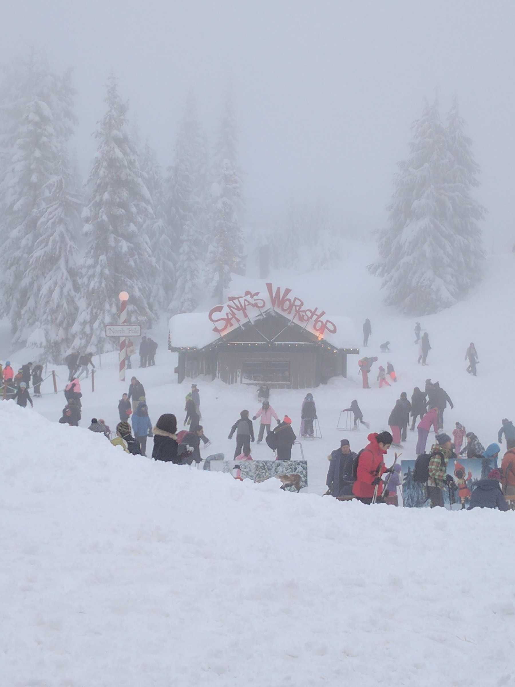 Grouse Mountain