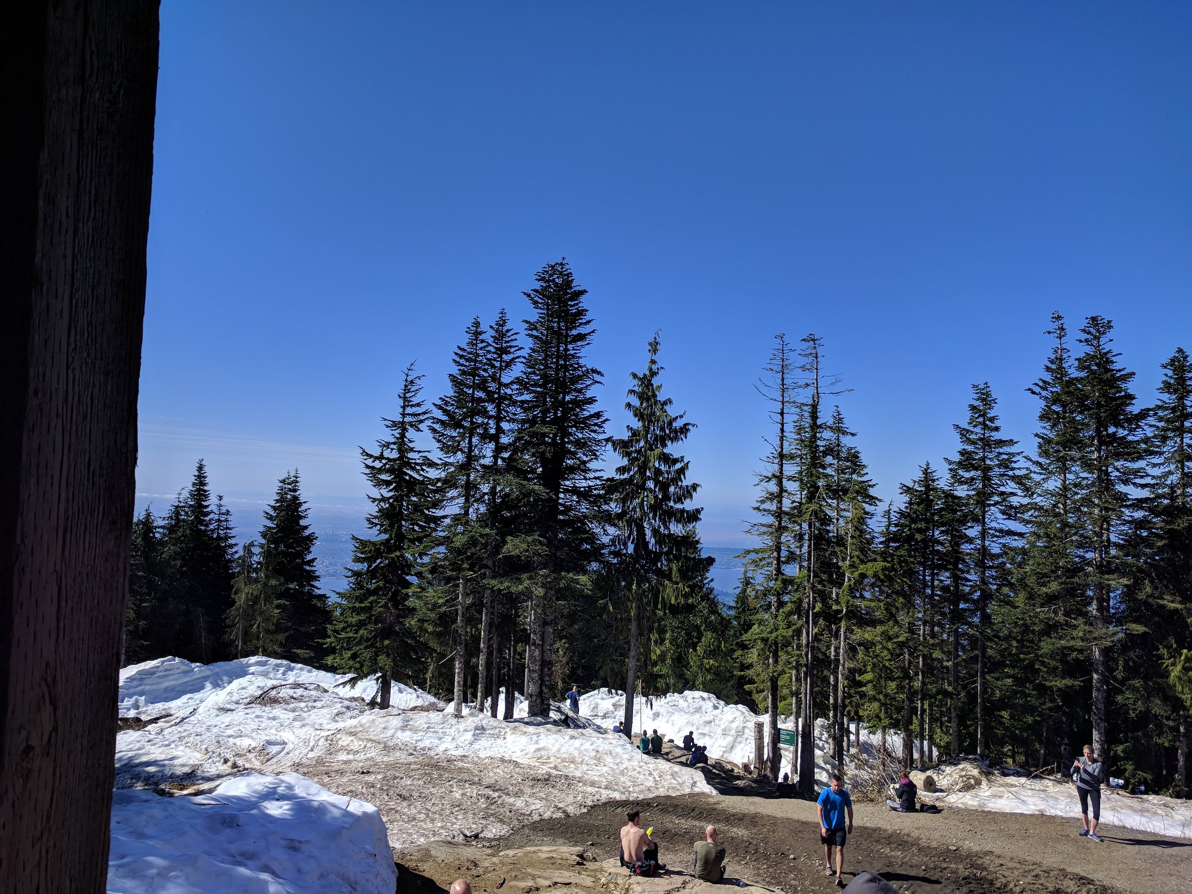 Grouse Mountain
