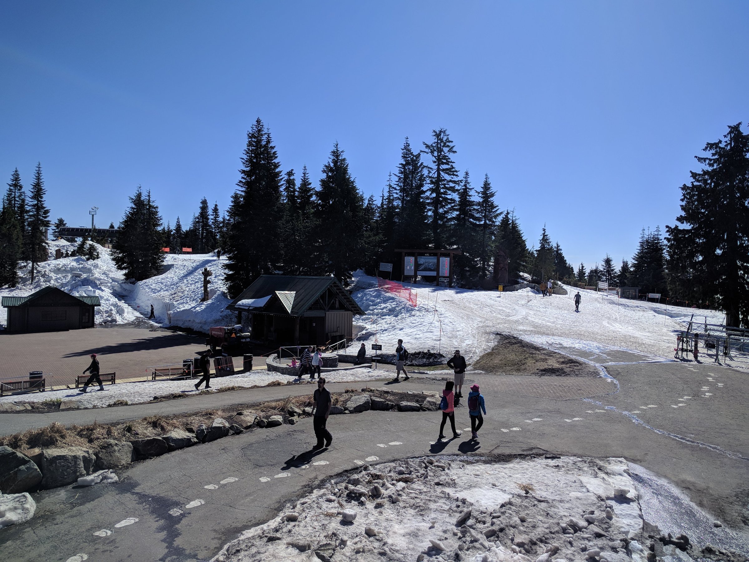 Grouse Mountain
