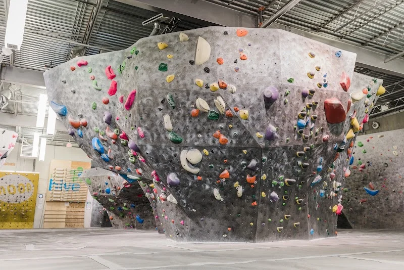 The Hive Bouldering Gym - Vancouver Heights