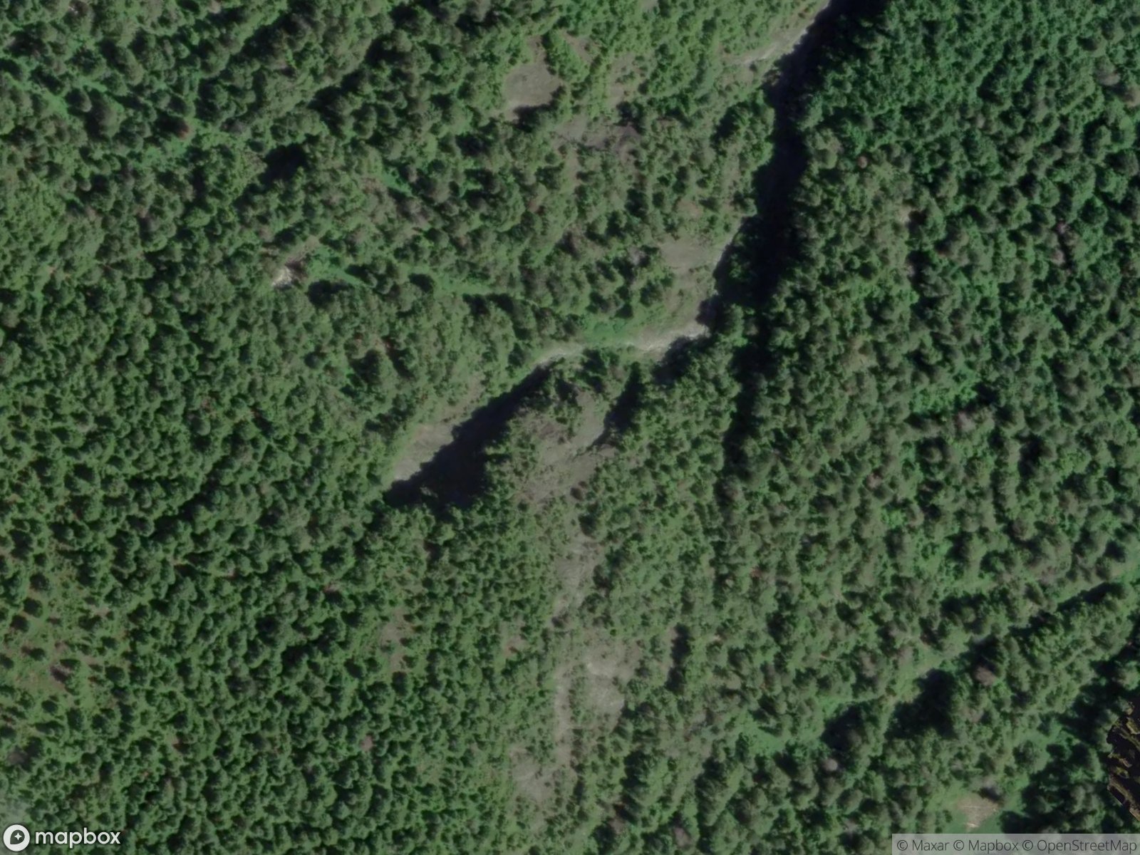 Crown Mountain Trail