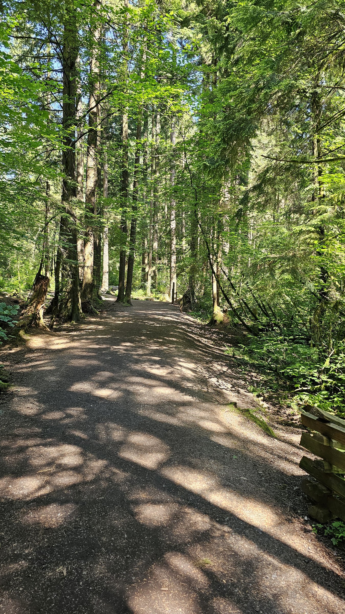 Mundy Park