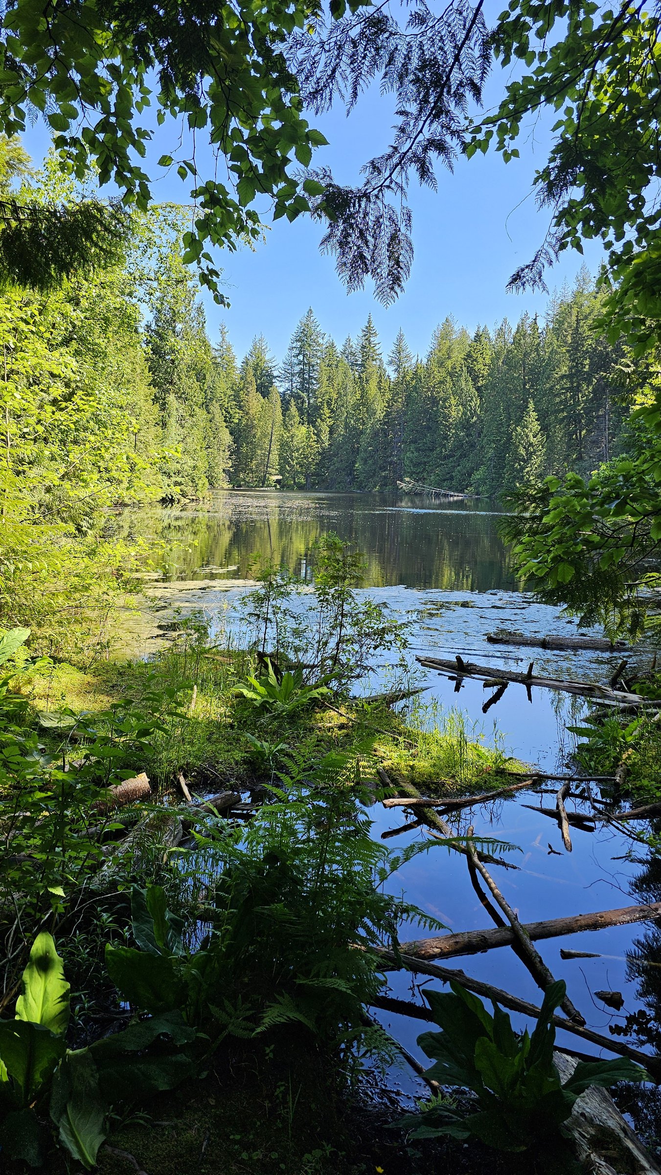 Mundy Park