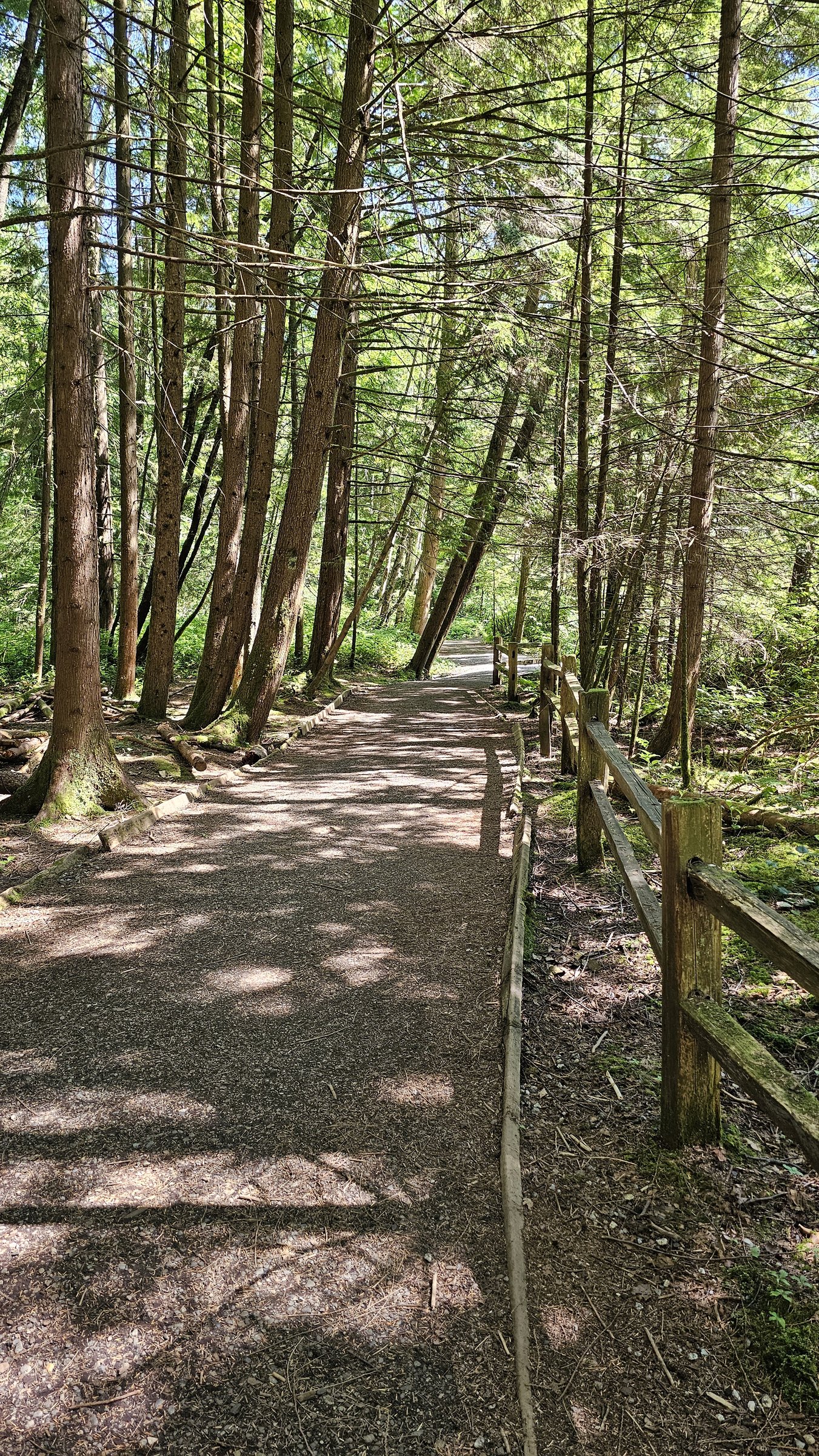Mundy Park