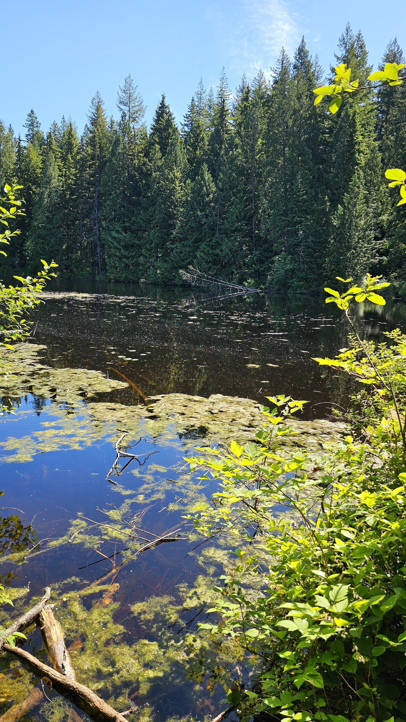 Mundy Park