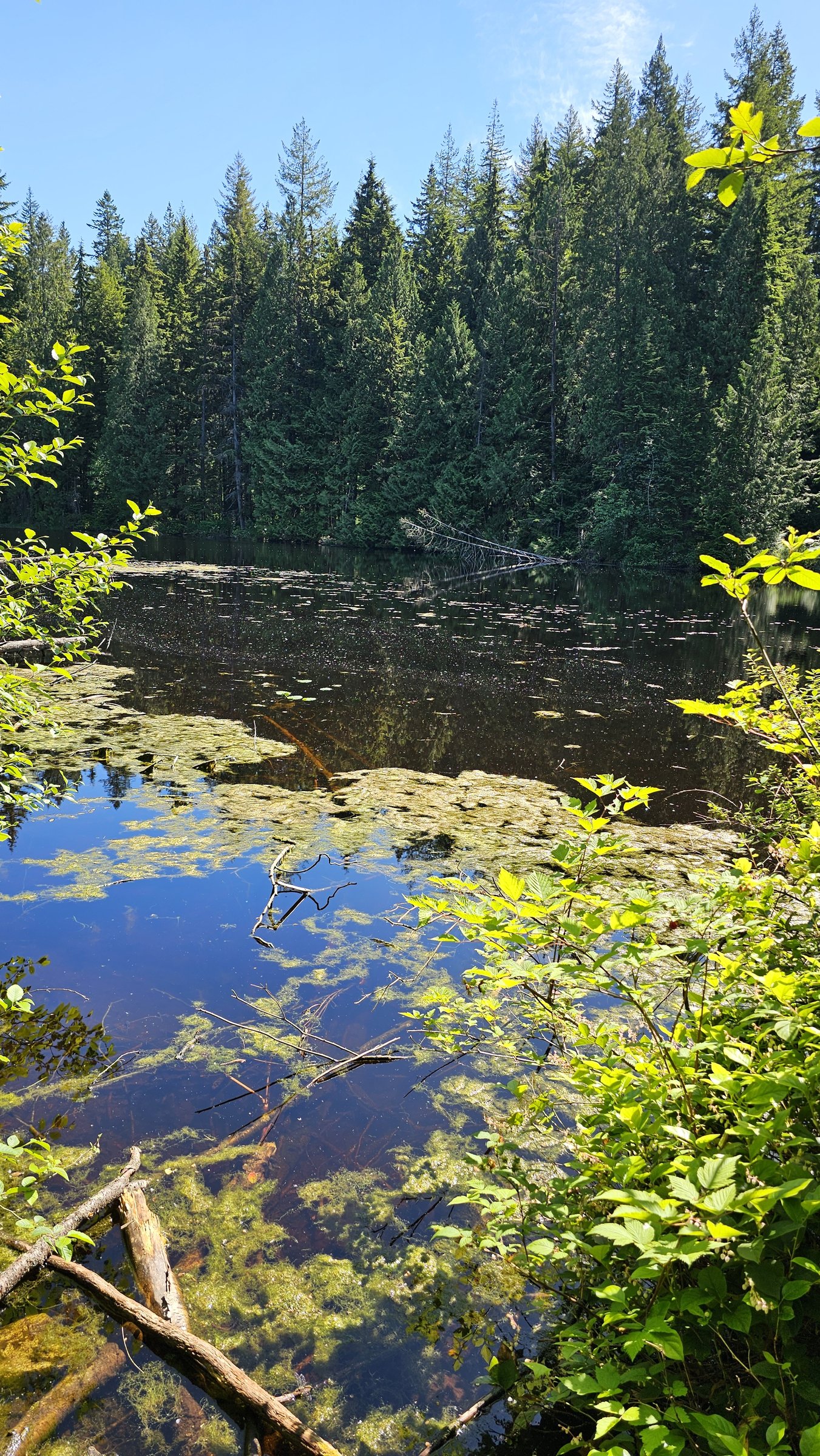 Mundy Park