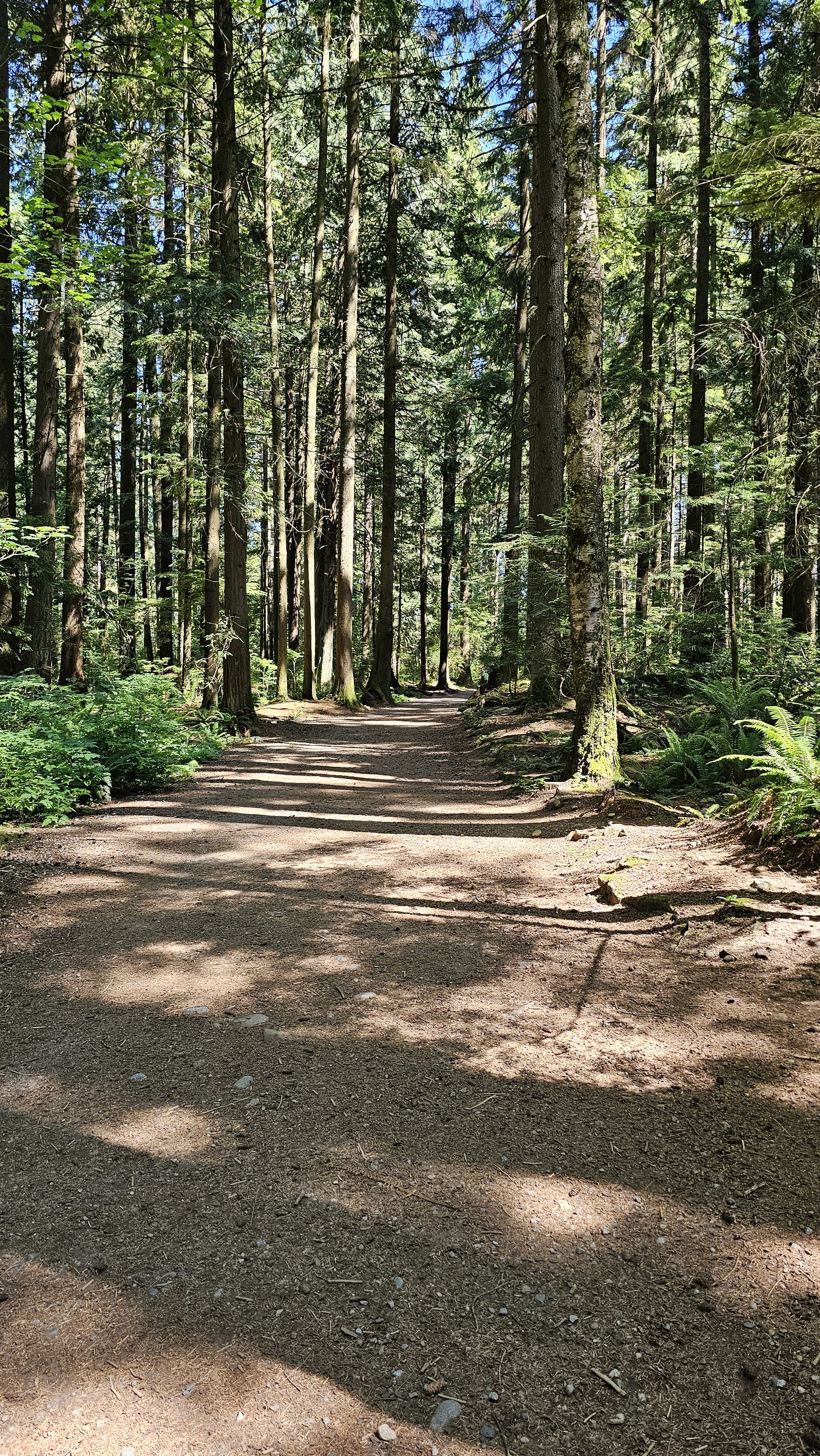 Mundy Park
