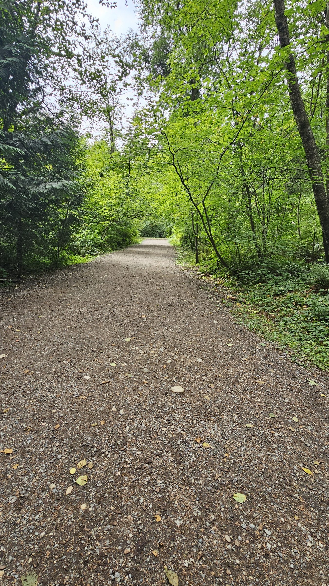 Mundy Park