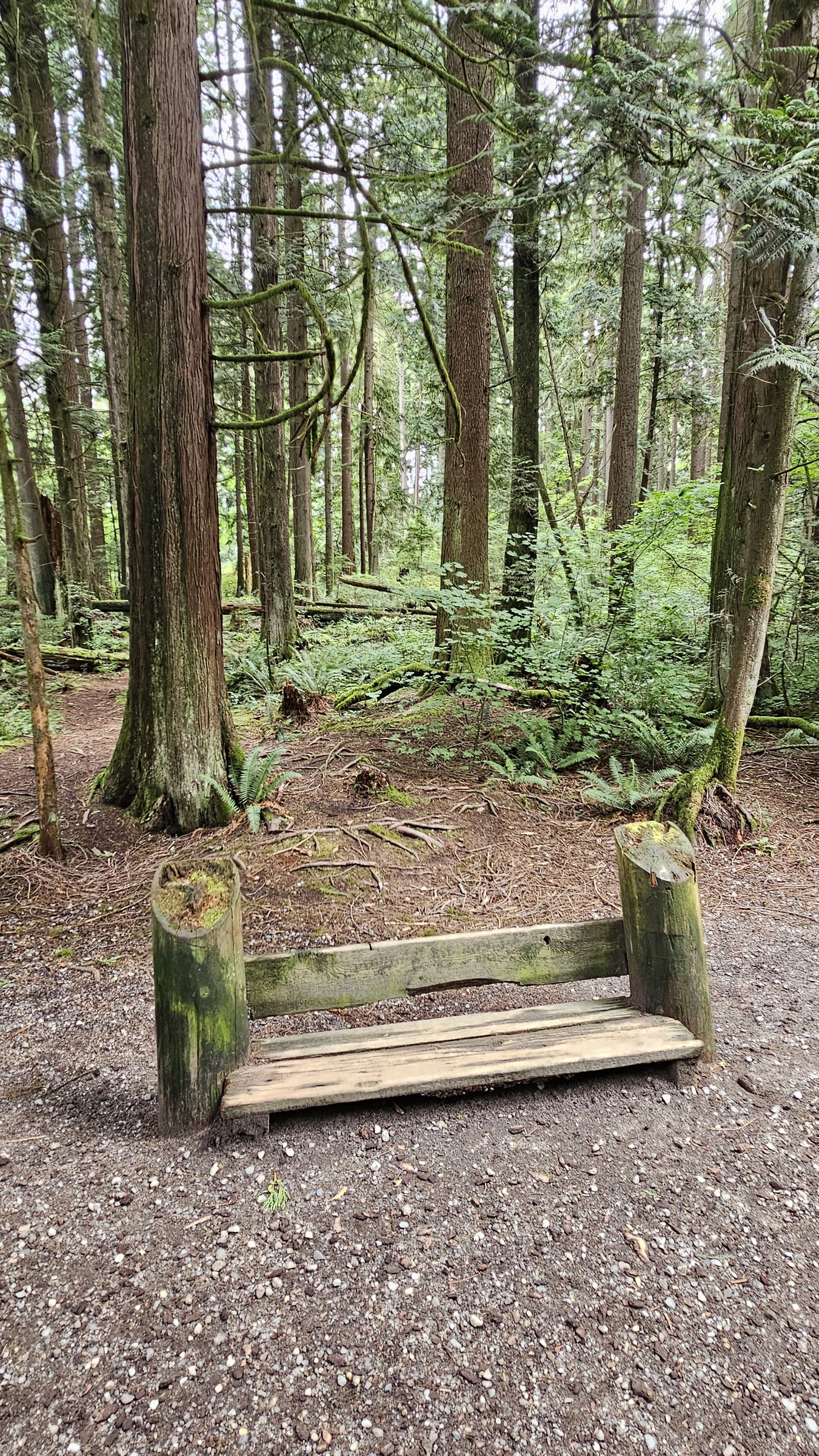 Mundy Park