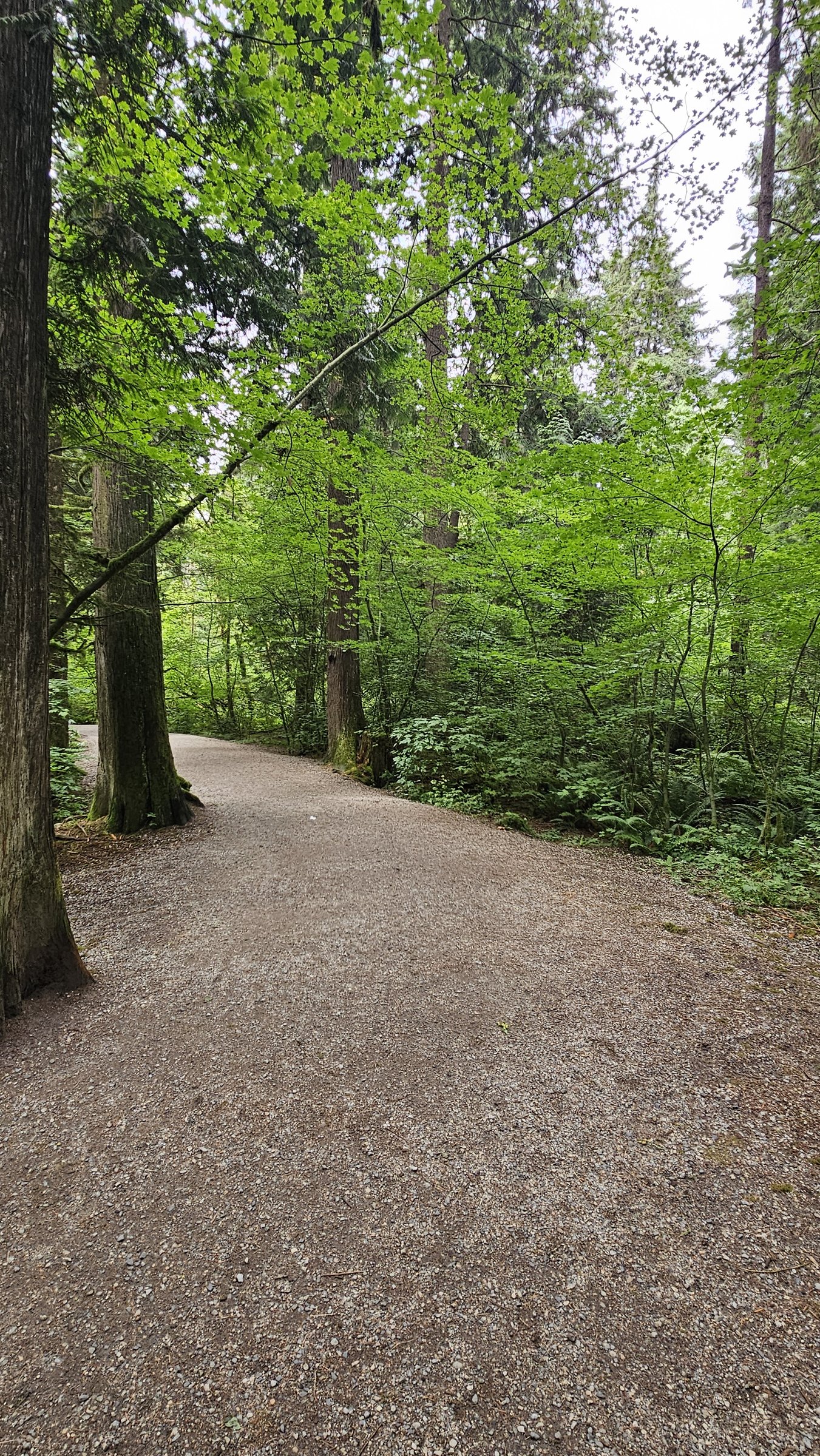 Mundy Park