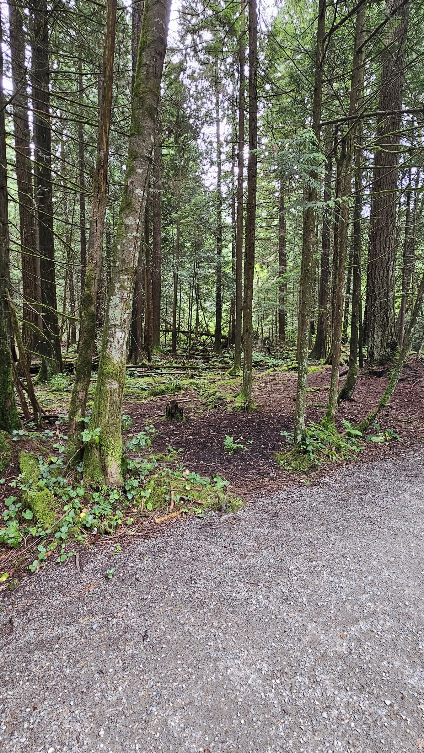 Mundy Park