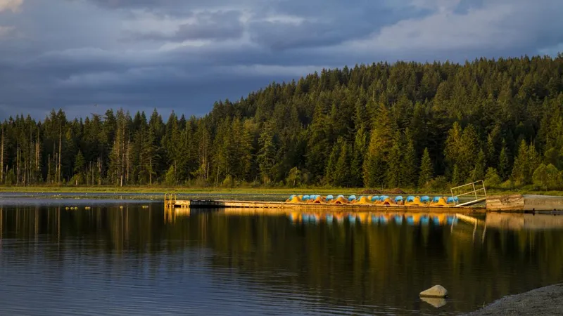 Whonnock Lake Beach