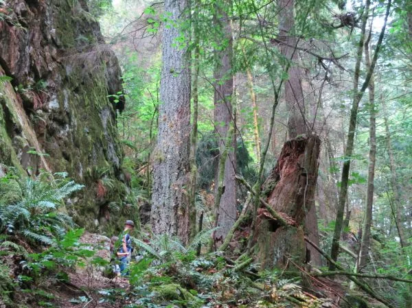 Belcarra Regional Park