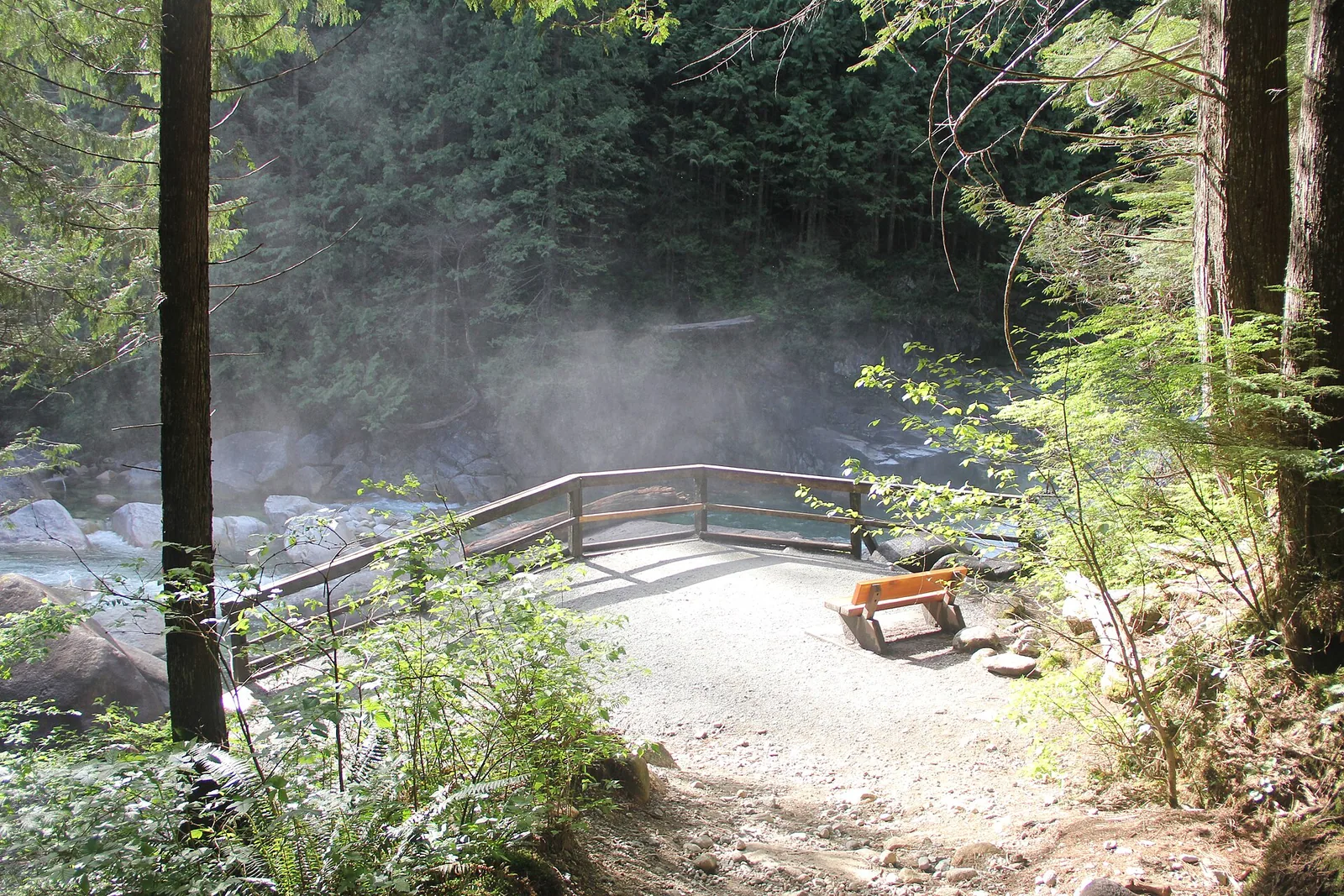 Lower Falls Trail