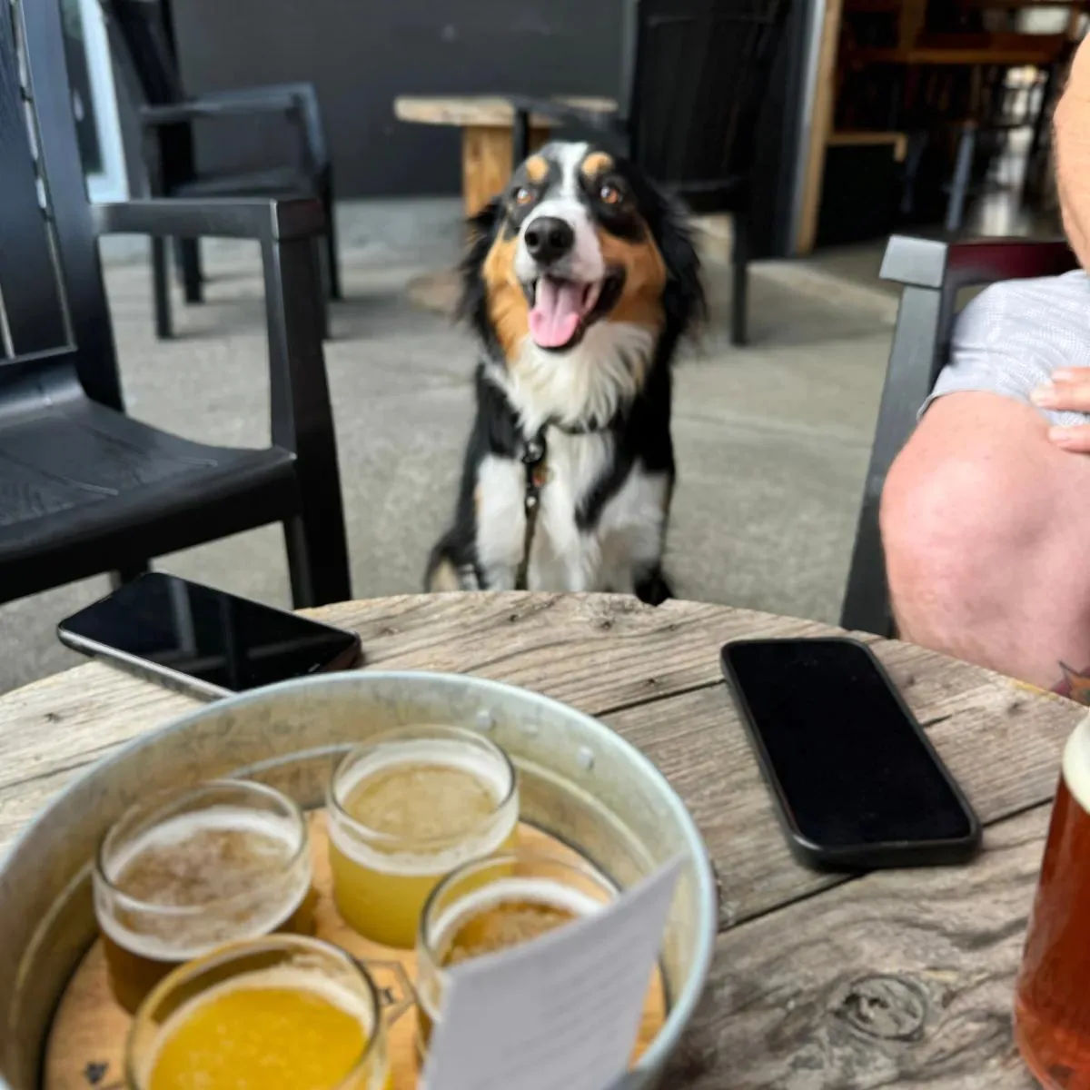 Farm Country Brewing
