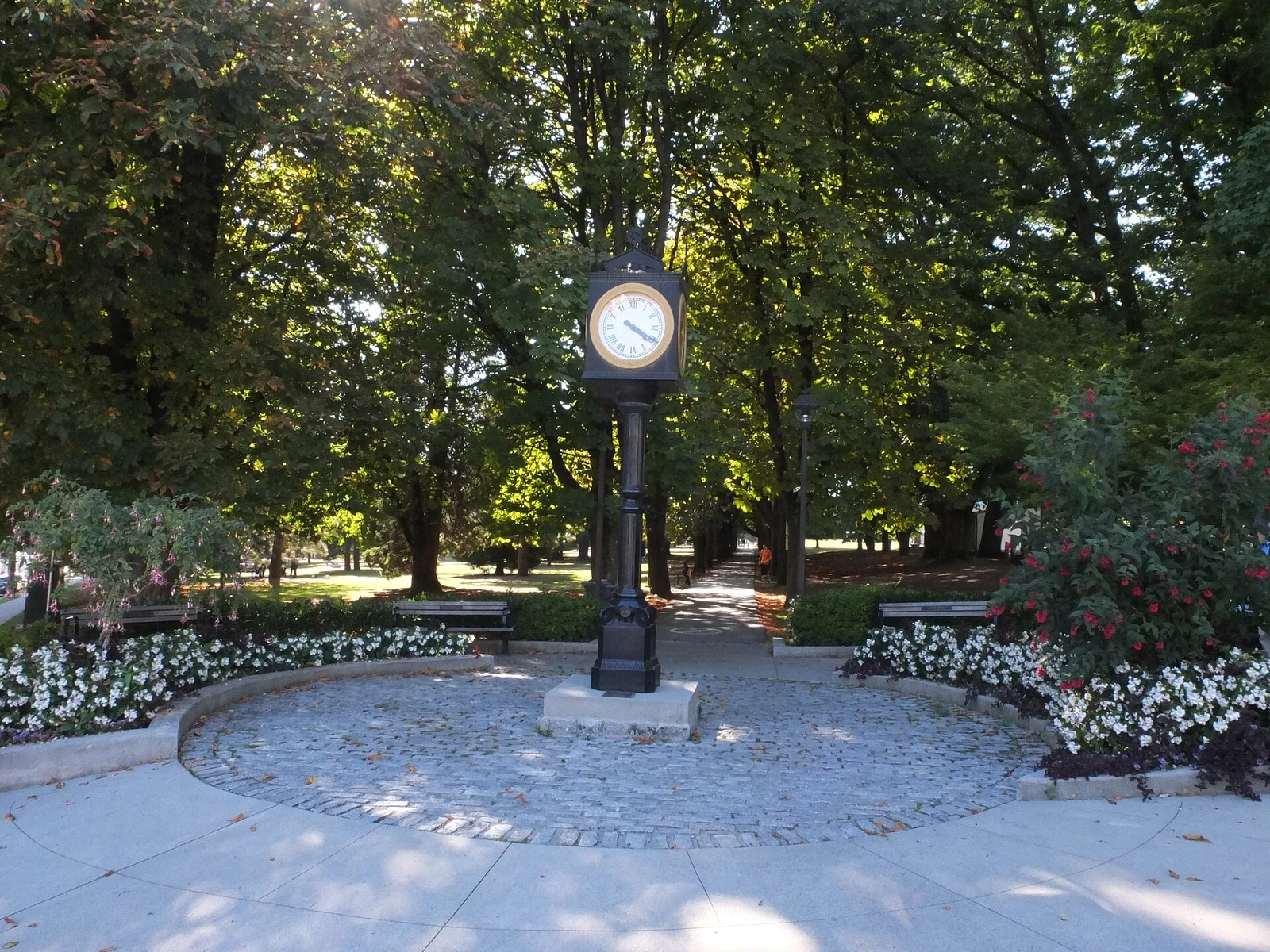 Moody Park
