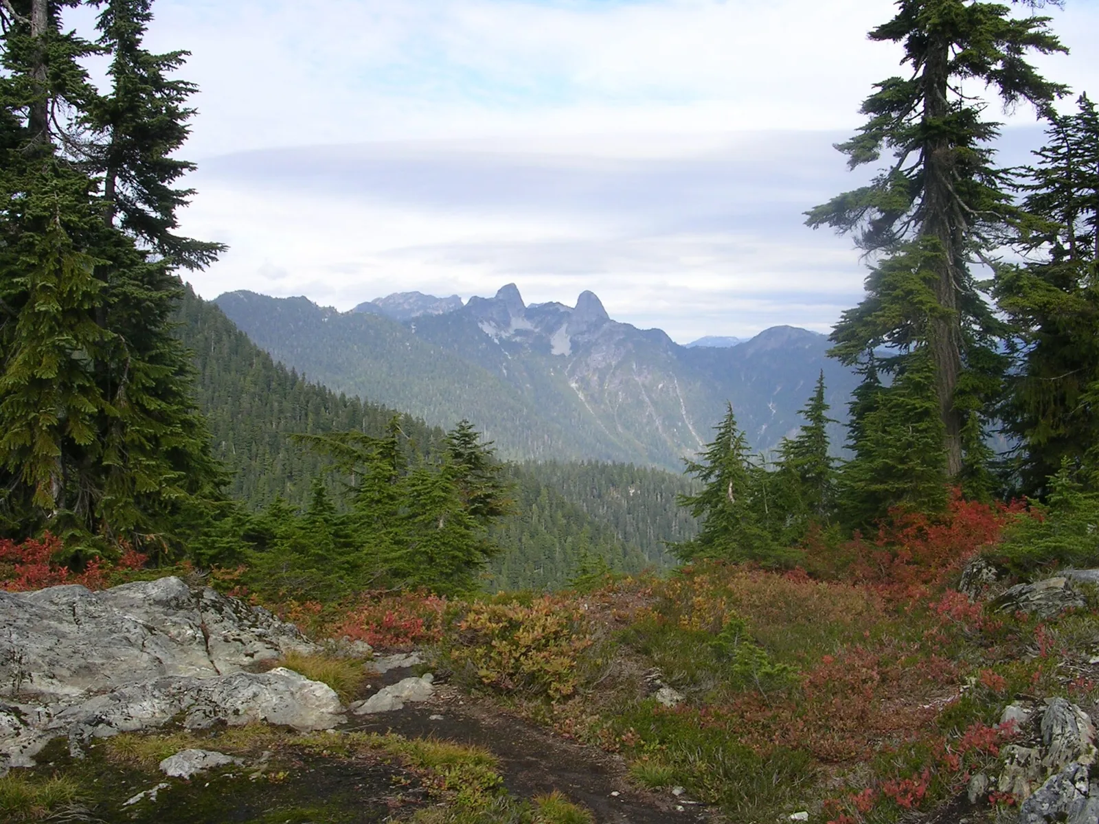 Hollyburn Peak Trail