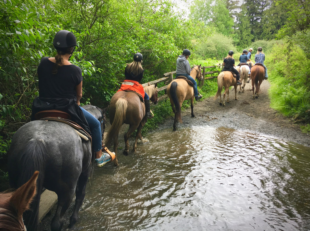 Glen Valley Stables