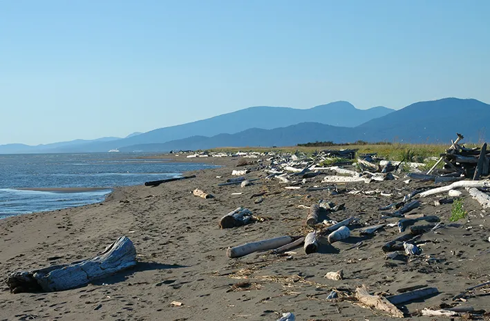 Iona Beach Regional Park