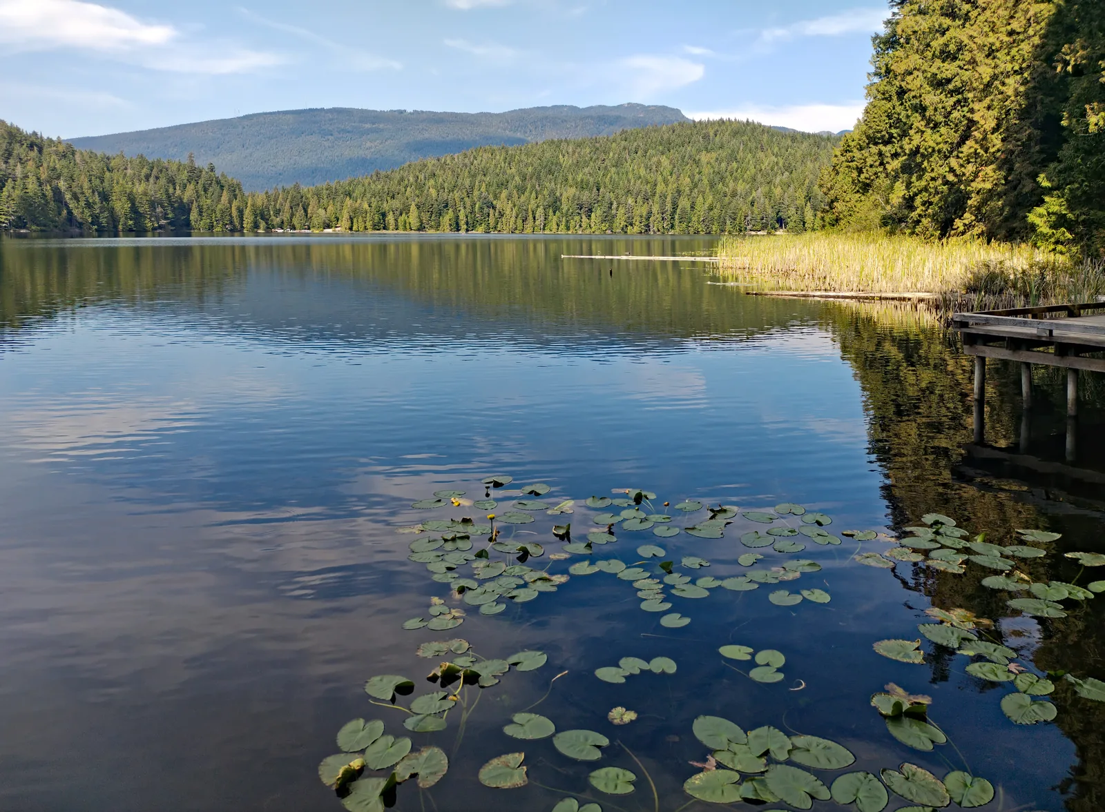 White Pine Beach