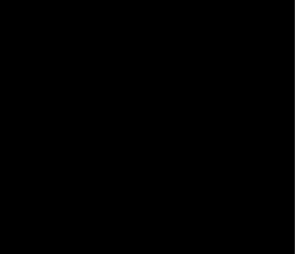 Barra Gitano